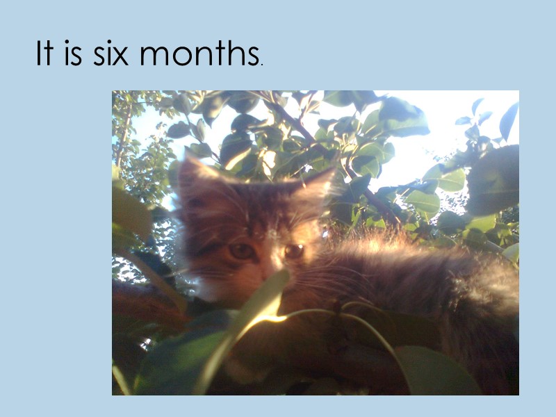 It is six months.